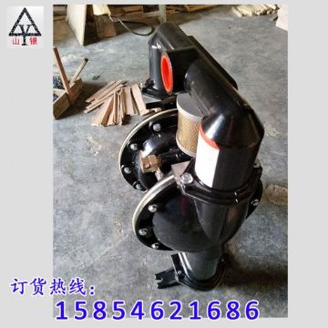點擊查看詳細信息<br>標題：氣動隔膜泵著名品牌-氣動隔膜泵廠家 閱讀次數：1819