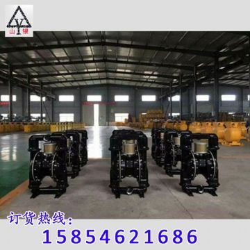 點擊查看詳細信息<br>標題：隔膜泵_氣動隔膜泵_隔膜泵價格_隔膜泵 閱讀次數：1713